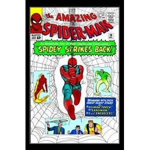 Amazing Spider Man 19 Steve Ditko signed by STAN LEE Marvel Comics 