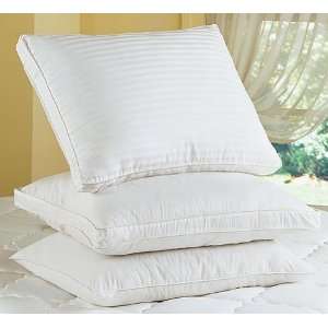  Better Hypo Allergenic Polyester Pillow
