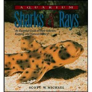  Micro   aquarium Sharks/rays