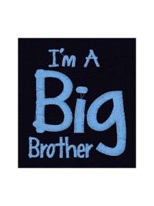 Personalized Big Brother or Big Sister Toddler T Shirt  
