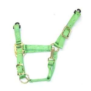 Clearance Hamilton Halters 