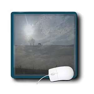   Photography and Design   One Lone Horse   Mouse Pads Electronics
