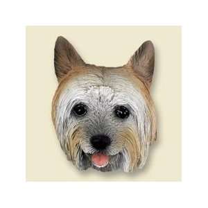 Silky Terrier Doogie Head