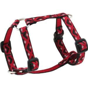  Lupine Harness 1/2 (9 14), Color Watermelon Pet 