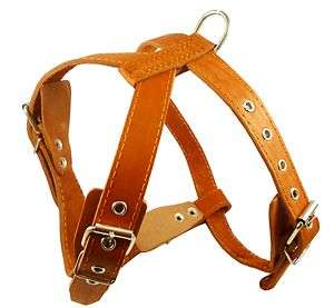 25 30 Real Leather Dog Walking Harness Amstaff Medium/Large  