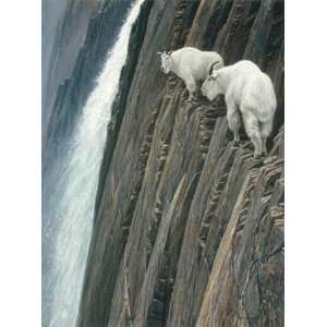    Robert Bateman   Sheer Drop   Mountain Goats