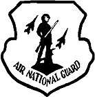 AIR NATIONAL GUARD FORCE PLANE VINYL STICKER DECAL 289
