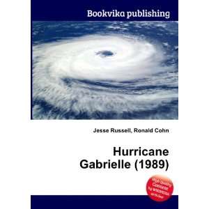    Hurricane Gabrielle (1989) Ronald Cohn Jesse Russell Books