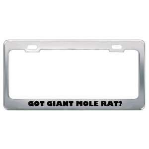  Got Giant Mole Rat? Animals Pets Metal License Plate Frame 