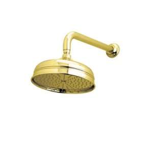   Clean Anti Cal Spray Pattern Swivel and Flow Restrictor in Inca Brass