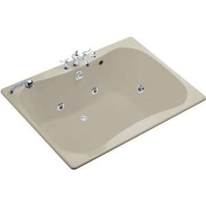  Kohler 1487 HF G9 Infinity Bath Whirlpool Drop In Tub 