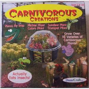  Unique Crafters   Carnivorous Creations