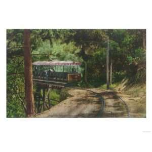 Train through Wooden Canyon   Mt. Lowe, CA Giclee Poster Print  