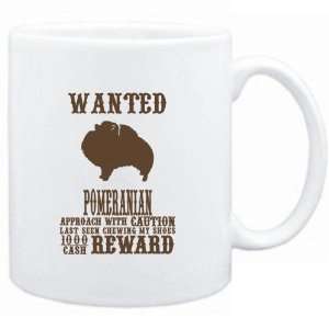   Pomeranian   $1000 Cash Reward  Dogs 