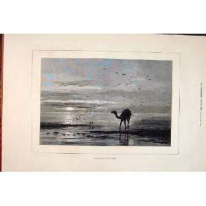 Sea Aral Sunset Camel Beach Birds Old Print 1877