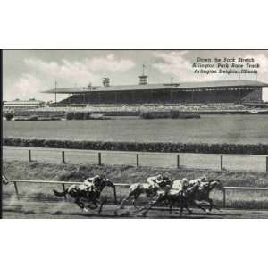   Arlington Park Race Track, Arlington Heights, Ill. 1950  Home