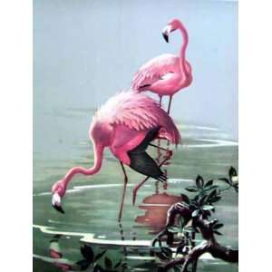  Roger Tory Peterson   Flamingoes