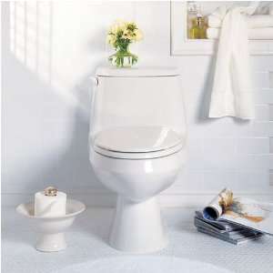  American Standard 2100.016.021 Toilet   One piece
