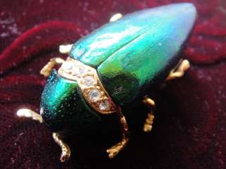 3D Brooch Art Real Green Beetle Fossil Jewelry Pin