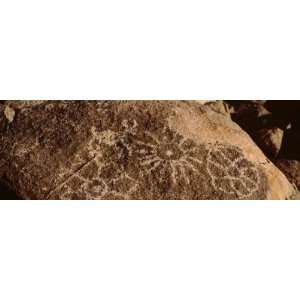  Petroglyphs on a Rock, Saguaro National Park, Tucson, Arizona, USA 