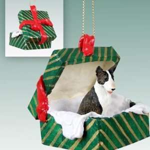    Bull Terrier Green Gift Box Dog Ornament   Brindle