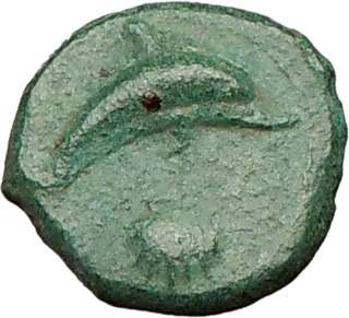   Sicily 357BC Authentic Ancient Greek Coin FEMALE & DOLPHIN  