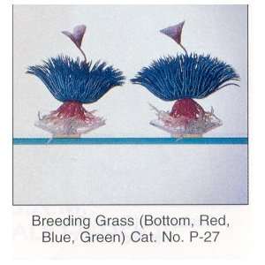  P 27BBL BREEDING GRASS BLUE