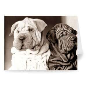 Hounds looking unimpressed.   Greeting Card (Pack of 2)   7x5 inch 