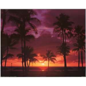  tropical sunset   Photography Poster   16 x 20