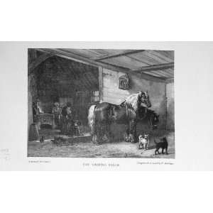  Horses Shoeing Forge Blacksmith 1897 Dogs Chickens