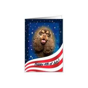 July 4th Card   featuring a chocolate/tan Cocker Spaniel Card