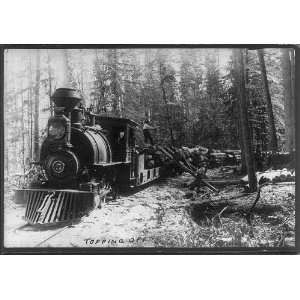  Topping Off,Men loading logs on railroad train,c1892