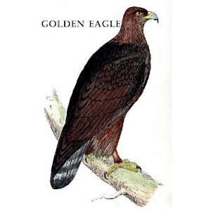  Birds Golden Eagle Sheet of 21 Personalised Glossy 