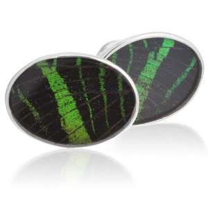  Aymara Oval Forest Green Butterfly Cufflinks CL AYA 0024 