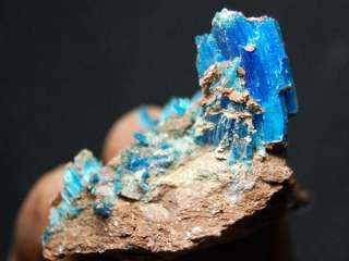 All Natural Blue Chalcanthite on Matrix, Planet Mine, AZ CHA146 