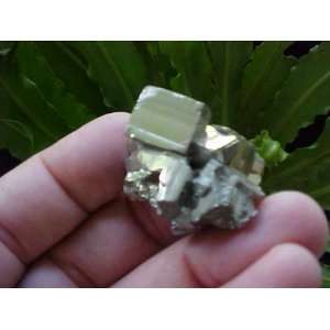  Zs0218 Gemqz Pyrite Cubes Mini Cluster Peru 