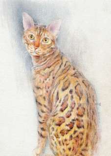ORIGINAL CAT ART PORTRAIT # 143 BENGAL CAT DRAWING  