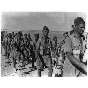  New Zealand Battalion,Libya,ca1940 1943,World War II,2
