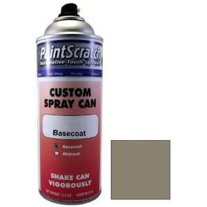  12.5 Oz. Spray Can of Medium Dark Pewter (Interior Color 