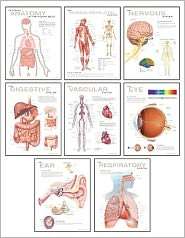 Human Anatomy Chart Pack, (1932922857), Various, Textbooks   Barnes 