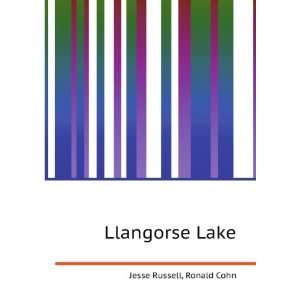 Llangorse Lake Ronald Cohn Jesse Russell  Books