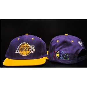  Los Angeles Lakers Tisa Snapback Hat Purple & Gold Sports 