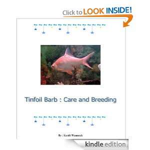 Tinfoil Barb  Careing and Breeding Kasidit Wannurak  