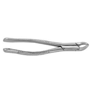  Extracting Forceps #151   Serrated