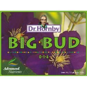 Dr Hornbys Big Bud Liquid 1 Liter by Advanced Nutrients 