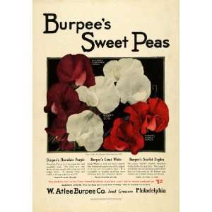  1922 Ad W. Atlee Burpee Sweet Peas Flowers Gardening Planting 
