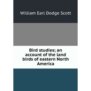  Bird studies; an account of the land birds of eastern 