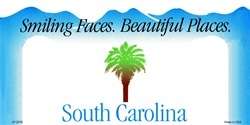 SOUTH CAROLINA State Background License Plate BLANK New  