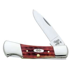   knife with Stainless Steel Blade Small Old Red Bone