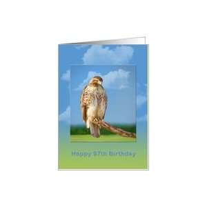  Birthday, 97th, Rough Legged Hawk Card Toys & Games